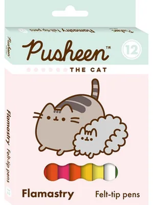 Image de Marqueurs Pusheen Majewski 12 couleurs