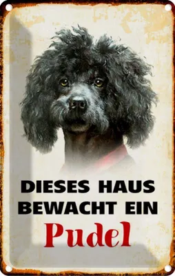 Produktbild von vianmo Blechschild 30x20 cm Hund dieses Haus bewacht ein Pudel Tier Haustier