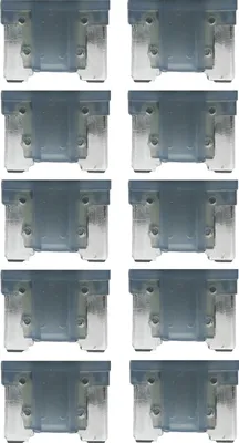 Produktbild von baytronic 10x Kfz-Flachstecksicherung Mini LP grau 2A