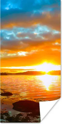 Produktbild von MuchoWow® Poster Sonne - Landschaft - Wasser - Bäume 20x40 cm - Plakat - Foto