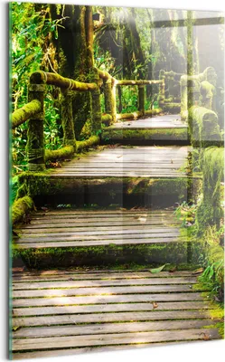 Produktbild von Designer Glasbild - Wandbild - Glas Bild - 40x60 cm - Agrotourismus