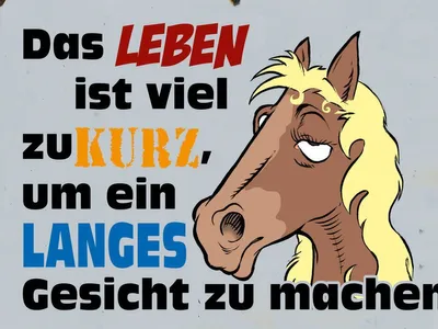Produktbild von vianmo Holzschild 30x40 cm das Leben ist zu kurz um Pferd
