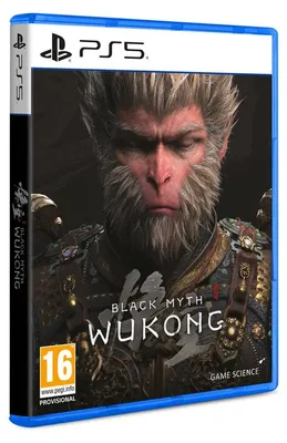 Produktbild von PS5 - Black Myth: Wukong