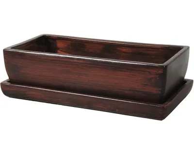 Image de Coffre avec soucoupe BOIS KAKTUS marron foncé 28 cm