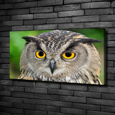 Produktbild von Tulup® Leinwandbild -100x50 cm - Wandkunst - Drucke auf Leinwand - Leinwanddruck  - Tiere - Mehrfarbig - Eule