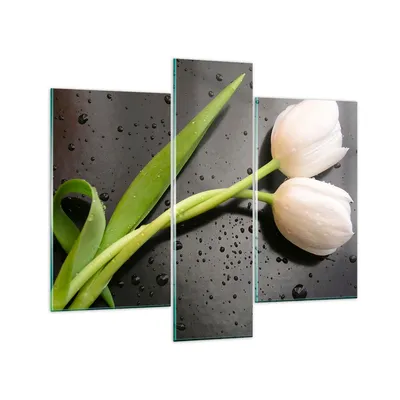 Produktbild von Bilder auf glas - Tulpen Blume Pflanzung Pflanze - 95x80cm - Glasbilder - Wandbilder - Kunstdruck - zum Aufhängen bereit - Wanddekoration aus Glas - Glas Bilder - Wandbild auf Glas - GCB95x80-2301