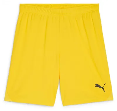 Obrázek produktu pro PUMA teamGOAL, dětské šortky
