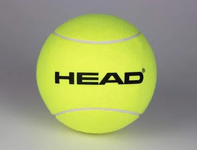 Image de Balle gonflable géante HEAD