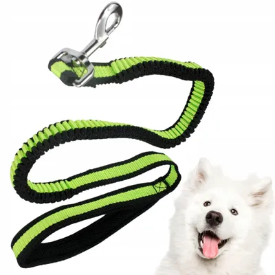 Produktbild von Hundeleine Bungee mit Handschlaufe Elastisch Bungeeleine Petnova 120-200cm