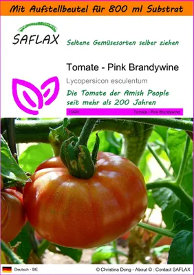 Produktbild von SAFLAX - Garden in the Bag - Tomate - Pink Brandywine - 10 Samen - Mit Anzuchtsubstrat im praktischen, selbst aufstellenden Beutel - Lycopersicon esculentum