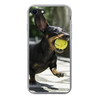 Produktbild von MuchoWow® Handyhülle Schutzhülle Hülle für iPhone SE 2020 Ein schwarzer Dachshund mit einem Tennisball Silikon Softcase Handy Hülle - Kartenbesitzer