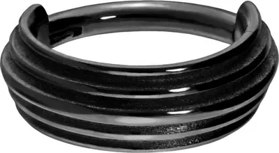 Produktbild von Ohrpiercing, Nasenpiercing, Septum Piercing Chirurgenstahl Segmentring Clicker 5 RINGE Schwarz Innendurchmesser: 8 mm