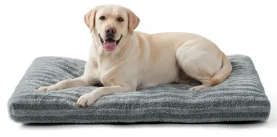 Immagine prodotto di Cuccia per cani, lavabile, morbida, grigia, dimensioni 90x60x9 cm