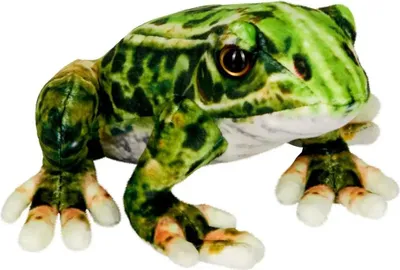 Produktbild von Coppenrath Verlag GmbH & Co.KG Frosch Sonstige