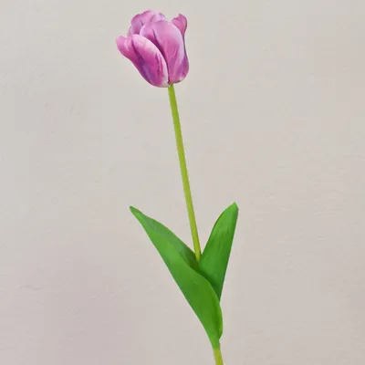 Produktbild von artplants.de Kunst Tulpe PJASSINA, violett-weiß, 65cm - Künstliche Tulpe
