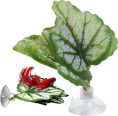 Productafbeelding van Aquariumplantenmatjes voor vechtvissen: natuurlijke simulatie van een rustplaats, met een observatielamp - aquariumaccessoires.