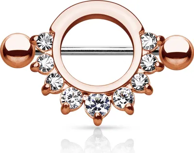 Produktbild von Brustwarzen Piercing Nippelpiercing Brustpiercing Nipple Shield Schild Zirkonia Kristalle rosegold