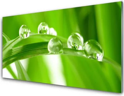 Produktbild von Acrylglasbilder 100x50 Wandbild Druck Blätter Pflanzen