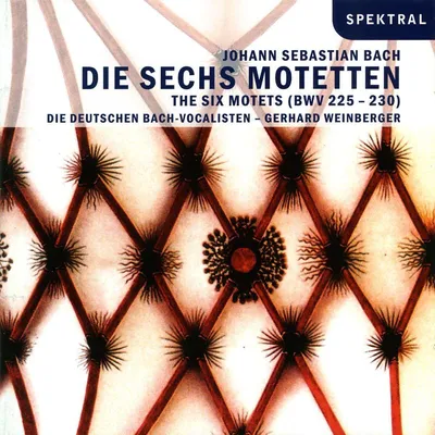 Obrázek produktu pro Johann Sebastian Bach (1685-1750): Motetten BWV 225-230 - - (CD / M)