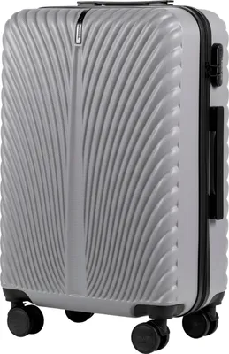 Produktbild von WINGS SWAN 24" Mittelgroßer Hartschalenkoffer aus ABS+, Grau, 63L