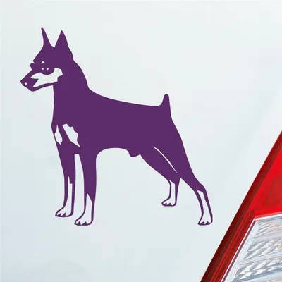 Produktbild von Auto Aufkleber Zwergpinscher Hund Dog Animal 10x10 cm Lila Sticker Heckscheibenaufkleber