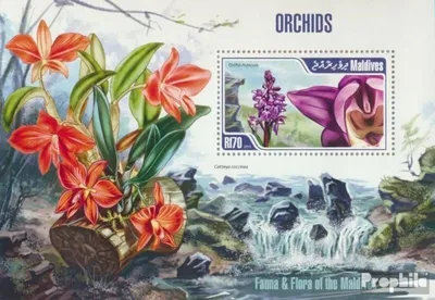 Produktbild von Briefmarken Malediven 2013 Mi Block 644 (kompl. Ausg.) postfrisch Orchideen