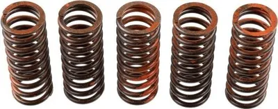 Immagine prodotto di TRW MEF318-5 Kit molla della frizione