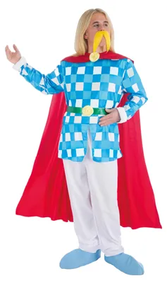 Image de Costume d'Assurancetourix pour hommes