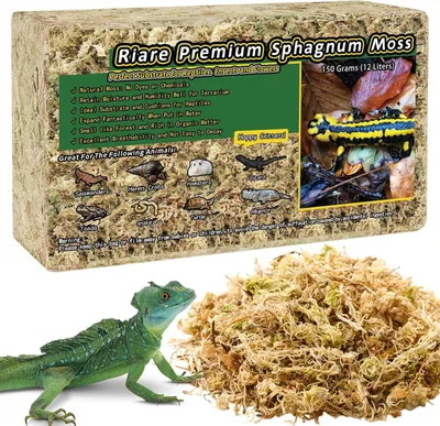 Zdjęcie produktu dla Mech torfowiec, suszony, 150g, naturalna warstwa podłoża do terrariów