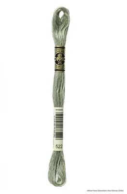 Produktbild von DMC Stickgarn Mouline Special 117MC -522, 6-fädig, 8m