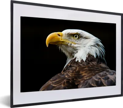 Produktbild von MuchoWow® MuchoWow® Gerahmtes Poster Adler - Vogel - Augen - Schnabel 60x40 cm - Poster mit zchwarzem Bilderrahmen - Schlafzimmer - Plakat in Rahmen - Drucken