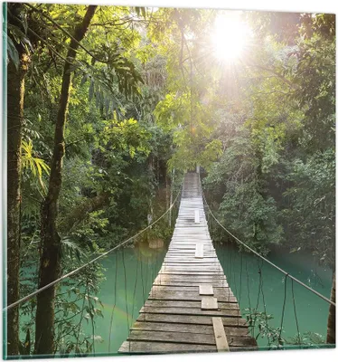 Produktbild von Bilder auf glas - Einteilig - Brücke Seil Dschungel - 40x40cm - Glasbilder - Wandbilder - Bilder - zum Aufhängen bereit - Wanddekoration aus Glas - Glas Bilder - Wandbild auf Glas - GAC40x40-4397