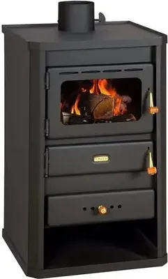 A black wood-burning stove with a glass door showing a fire inside.
