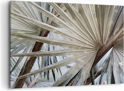 Produktbild von Bild auf Leinwand - Leinwandbild - Einteilig - Blatt Palme Natur - 100x70cm - Wand Bild - Wanddeko - Wandbilder - Leinwanddruck - Bilder - Wanddekoration - Leinwand bilder - Wandbild - AA100x70-5056