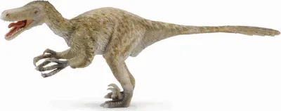 Produktbild von COLLECTA Velociraptor – 1:40