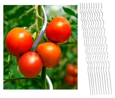 Produktbild von 10er Set Tomatenspiralstäbe 170 cm