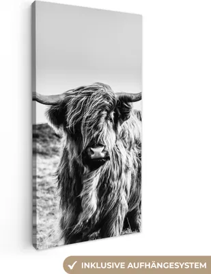 Obrázek produktu pro OneMillionCanvasses® - Obrazy na plátně - Kráva - Skotský horal - Černá - Bílá - Zvíře - Příroda - Volně žijící zvířata, nástěnné umění, nástěnné dekorace Obývací pokoj, 40x80cm