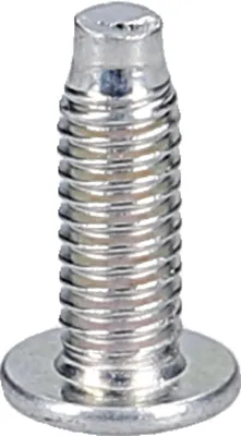 Image de LIEBHERR 4098184 Vis M4x11,5 Torx® T15 pour poignée de porte réfrigérateur congélateur