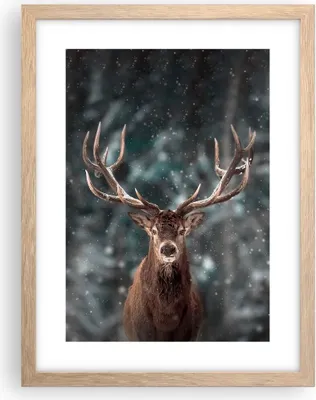 Produktbild von Gerahmtes Poster - Rahmen in heller Eiche - Hirsch Hirsch Winter - 30x40 cm - Wand Bild - Wanddeko - Wandbilder - Kunstposter - Wandposter - Bilderrahmen - Bilder - Kunstdruck - P2NPA30x40-4998