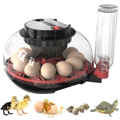 Produktbild von 12 Eier-Inkubator Brutkasten Brutmaschine Vollautomatisch Brutapparat Küken