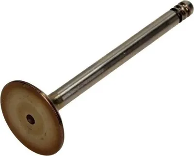 Produktbild von AMP PSEA016-S-0-D Einlassventil für VW Lupo (6X1, 6E1) Ø31mm-Teller Ø7mm-Schaft