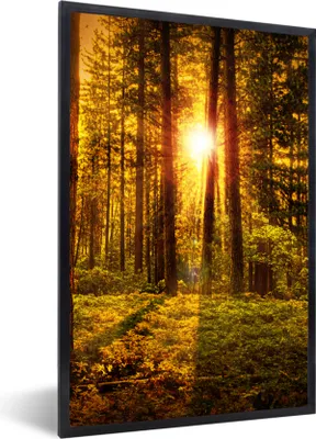 Produktbild von MuchoWow® Gerahmtes Poster Wald - Sonne - Bäume - Natur - Sonnenuntergang 60x90 cm - Poster mit Schwarzem Bilderrahmen Wandposter Rahmen Foto Bilder - Kunst