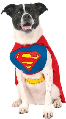 Produktbild von Superman Hundekostüm large
