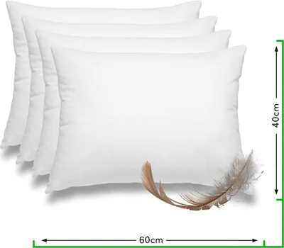 Produktbild von wometo 4er Set Federkissen 100% Federn 40x60 - 600g OEKO-TEX Kissen Füllkissen Bezug Baumwolle weiß / Innenkissen / Kissenfüllung / kleine Kopfkissen / Sofakissen (4 Stück)