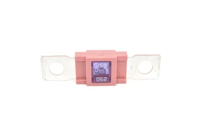 Obrázek produktu pro Pojistka BOSCH 1 987 531 006