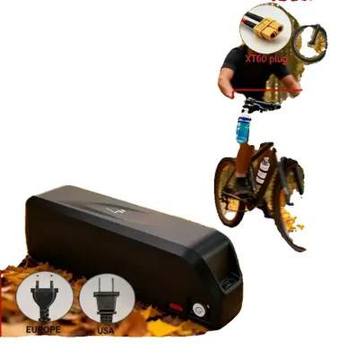 Immagine prodotto di Batterie, capacità 40Ah, compatibili con Hailong, modello T-48V-40AH