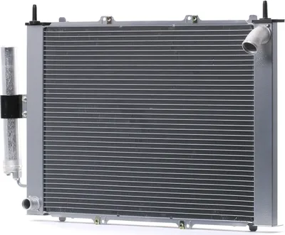 Produktbild von RIDEX Kühlmodul 2668C0004 für RENAULT KANGOO (KC0/1)