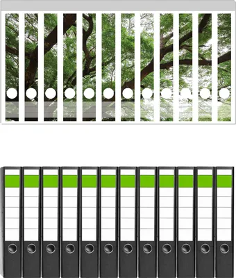 Produktbild von Wallario 12 Stück schmale Ordner inkl. Klebeetiketten mit Motive Gigantischer Regenbaum von unten -  Set mit Rückenschildern / Ordnerrücken Stickern