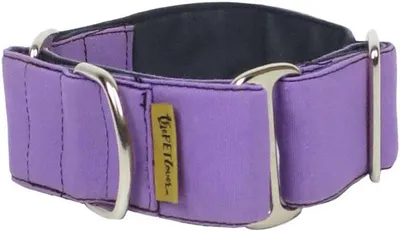 Lila, verstellbares Halsband für Hunde