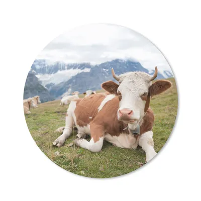 Produktbild von MuchoWow® Mauspad Mousepad Kühe - Wiese - Alpen 30x30 cm - Mousepads - Maus Mat - Pad - Mausunterlage - Tischunterlage - Schreibtischmatten